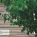 Сайдинг Ю-Пласт TIMBERBLOCK Пихта (Тимберблок) Cахалинская купить в Братске