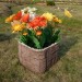 Цветник КАНЬОН купить в Братске